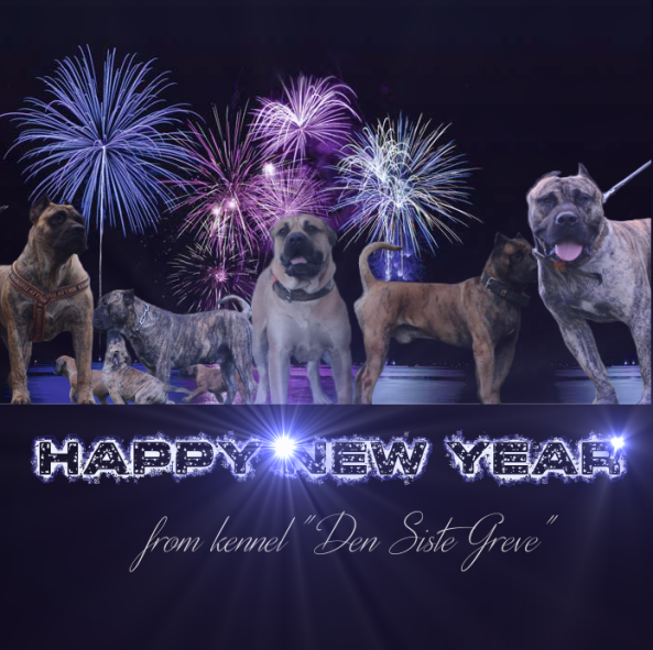 Dogo happy new year